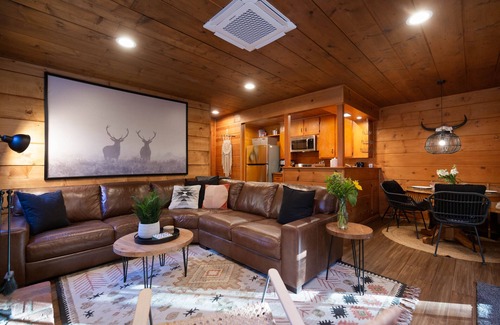 Pine Cove Cabin | Two Magical cabins *Spa, Fireplace, Pet Friendly*