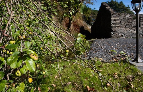 Penrhyndeudraeth Cottage | Tyn Llwyn Cornel