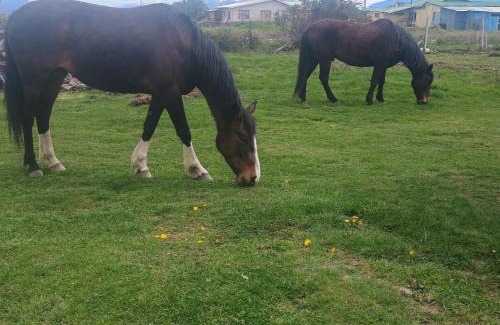 Puerto Natales Apartment | Tyni house