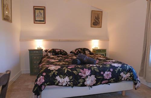 Mouries House | typical mas provençal with swimming pool in a small hamlet near mouriès in the alpilles in provence- 8 persons