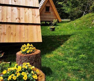 Kamnik Cabin | U KONC