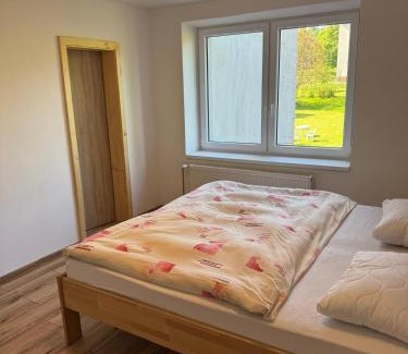 Karlovy Dvory Apartment | U Rafičky - V Domkách 128, Horní Planá