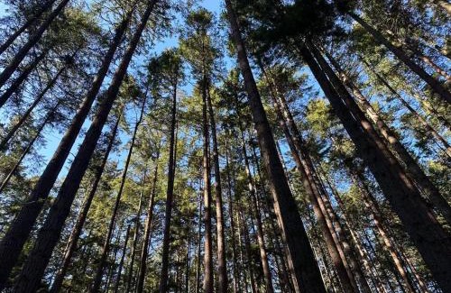 West Point Grey Villa | UBC High-Value House, Sleeps Up to 6 Guests