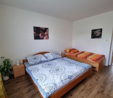 Veseli nad Luznici House | Ubytování na soutoku Lužnice a Nežárky