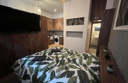 Pilsen Apartment | Ubytování Tajemství Lucy