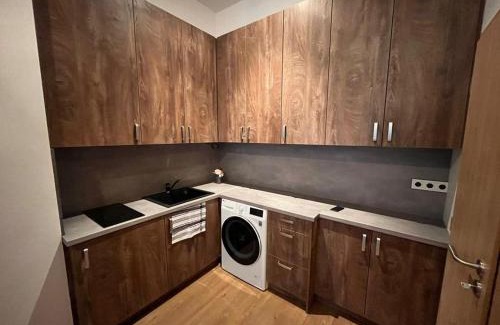 Pilsen Apartment | Ubytování Tajemství Lucy