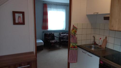 Cerny Dul Apartment | Ubytování u sjezdovky až 12os