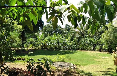 Udawalawa Villa | Udawalawe villa