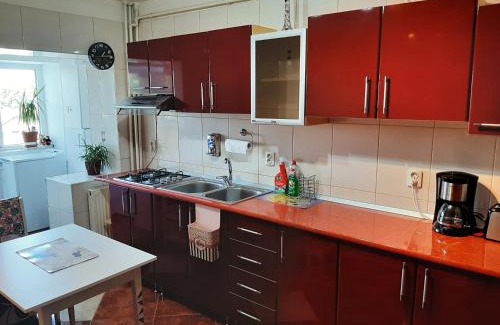 Bacau Apartment | Ultracentral,Parcul Catedralei,apartament 2 camere