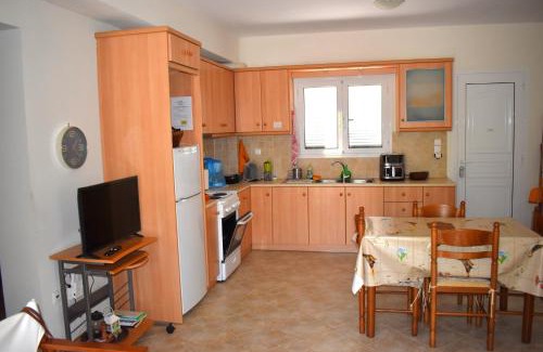 Dhrakata House | Under the pine tree