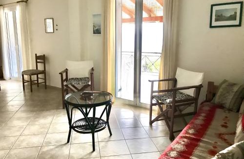 Dhrakata House | Under the pine tree