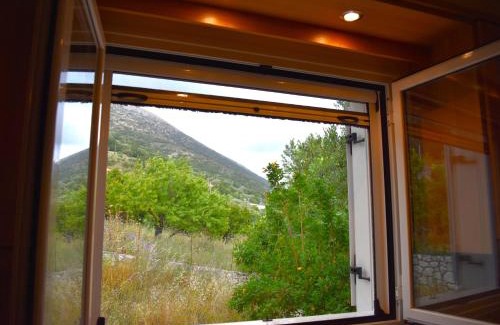 Dhrakata House | Under the pine tree