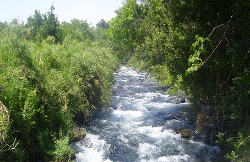 Dan Apartment | Upper Galilee Holiday HOME on the Dan River