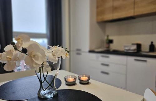 Katowice Apartment | URBAN APARTMENTS PREMIUM Baildona 18B, Free Garage, Self Check-in