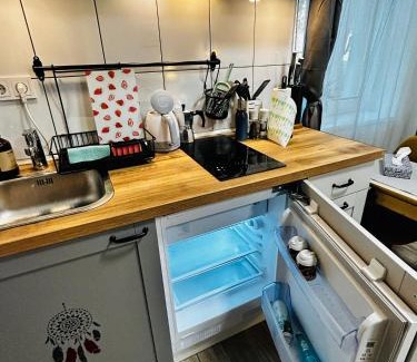 Zemgale Suburb Apartment | Urban Wolfie with FREE parking & own bicycle
