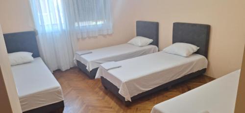 Backi Petrovac Apartment | Uroš