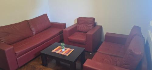 Backi Petrovac Apartment | Uroš