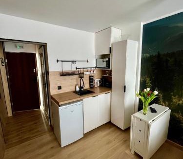 Jaszowiec Apartment | Ustroń Jaszowiec Apartament Basia
