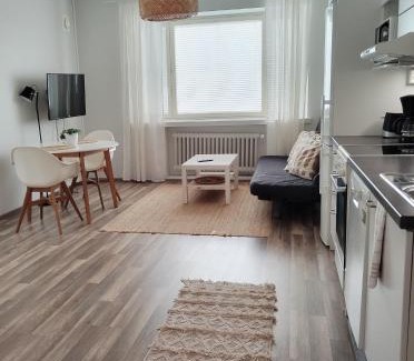 Jyvaskyla Apartment | Väinö Apartment 13