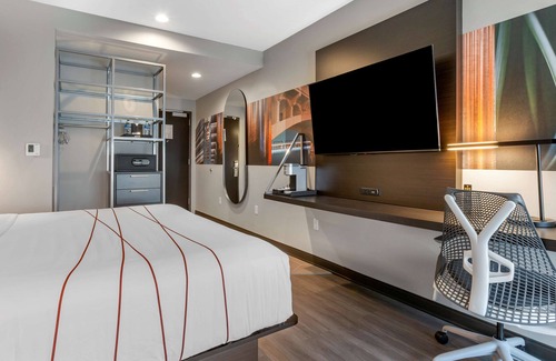 Tempe Hotel | Vīb Hotel by Best Western Phoenix - Tempe