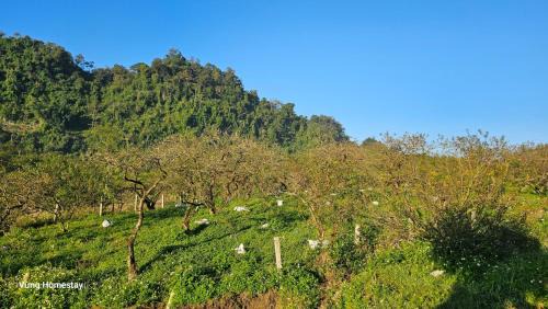 Moc Chau Hotel | Vừng Homestay - Mộc Châu