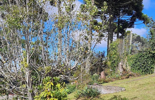 Recanto Araucaria Ski Chalet | Valle do Sol Chalets - Hydrangea Chalet