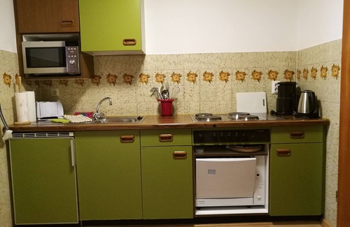 Menzenschwand-Hinterdorf Apartment | Vacation apartment/apartment for 2 guests with 30m² in Sankt Blasien (170171)