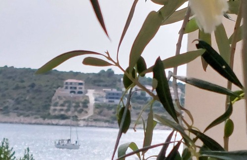 Sevid Apartment | Vacation apartment Happy Olive in Sevid near Trogir Croatia