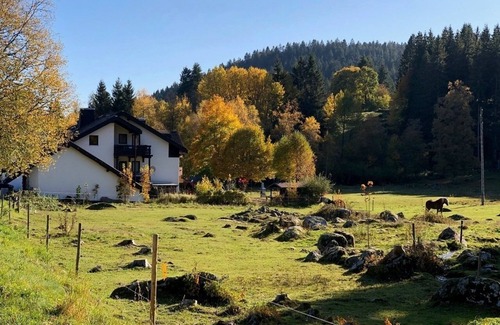 Blasiwald Apartment | Vacation apartment/apartment for 2 guests with 35m² in Schluchsee (268615)