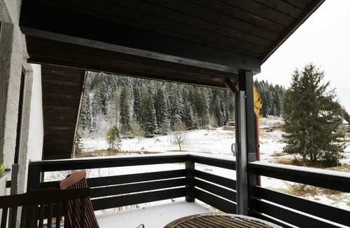 Blasiwald Apartment | Vacation apartment/apartment for 2 guests with 30m² in Schluchsee (268616)