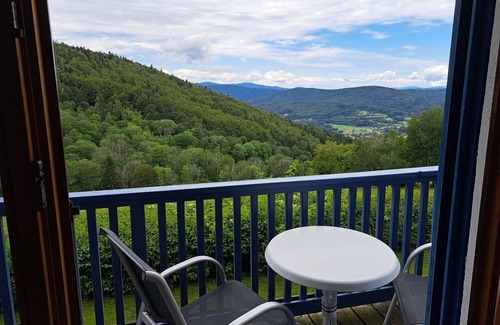 Sonnenwald Apartment | Vacation apartment/apartment for 3 guests with 35m² in Schöfweg (271303)