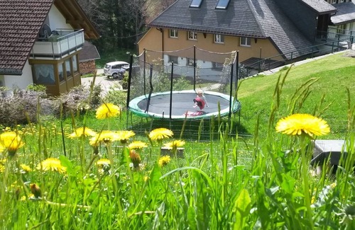 Todtnau Apartment | Vacation apartment/apartment for 6 guests with 58m² in Todtnauberg (122782)