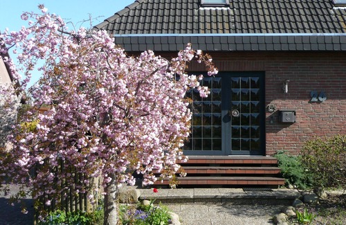 Wendtorf Condo | Vacation apartment on the Baltic Sea/Marina Wendtorf, in the beautiful Probstei