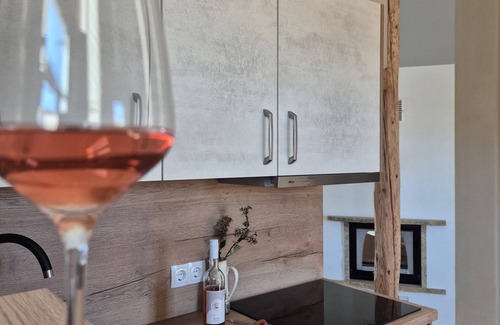 Laucha an der Unstrut Apartment | Vacation with a winegrower in the Saale-Unstrut valley!
