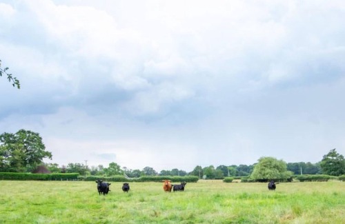 Abbess Roding House | Vacation home The Milking Parlour in Cranbrook - Hawkhurst - 4 persons, 2 bedrooms