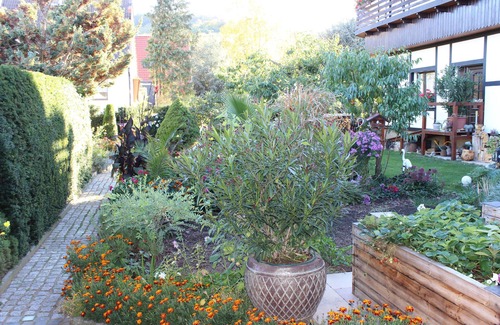 Blankenburg Apartment | Vacation home Beck 1 - Ferienobjekte Familie Beck