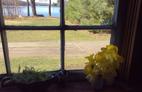 Hope Cottage | Vacation on a beautiful lake in Maine Convenient location to the coast of Maine.