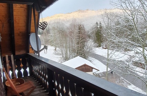 Blasiwald Apartment | Vacation with dog away from the forest near Schluchsee
