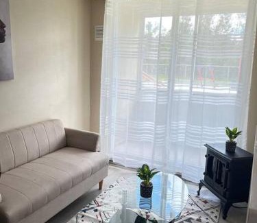 Osorno Apartment | Valle Sur.