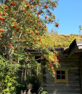Saarijarvi Ski Chalet | Valonranta Cottage