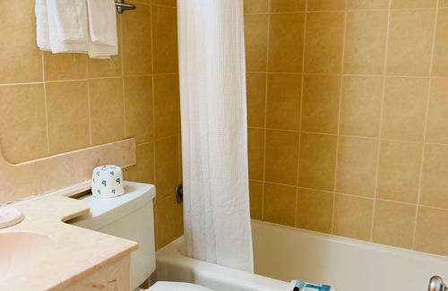 Gainesville Hotel | Value Lodge