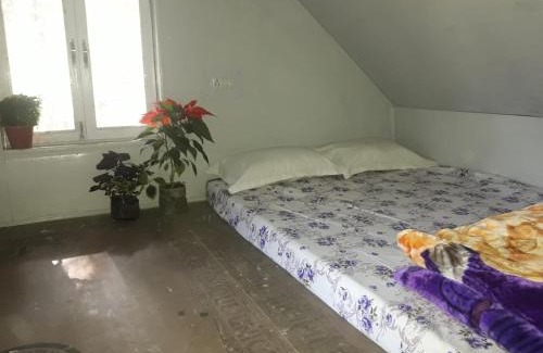 Turuk Hotel | Vamoose Hornbill