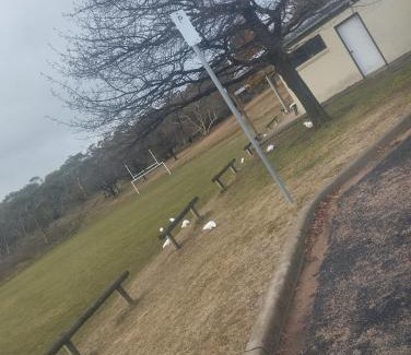 Jindabyne Other | Van near Jindy - Thredbo and ski areas