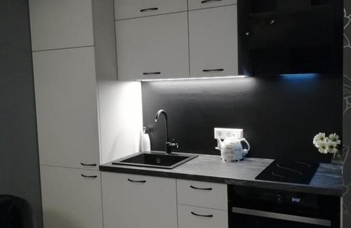 Druskininkai Apartment | Vandenis Druskininkai