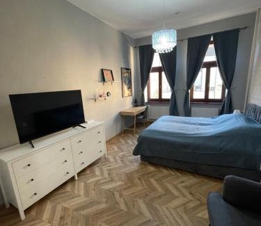 Kosice Old Town Apartment | Varady's apartment with private parking