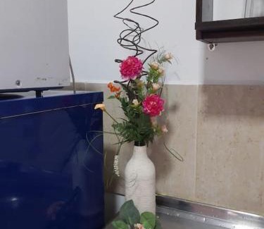 Ponta Aguda Apartment | Varandas de Blumenau