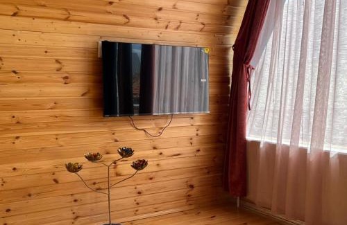 Gergeti Apartment | Vaso-Levani Kazbegi Cottage