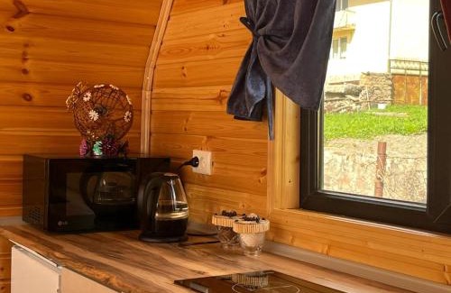 Gergeti Apartment | Vaso-Levani Kazbegi Cottage