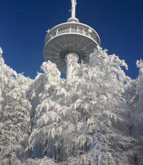 Schotten House | Vater Bender Heim