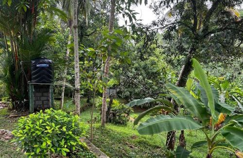 Kirantidiya House | Vegan Nature Resort